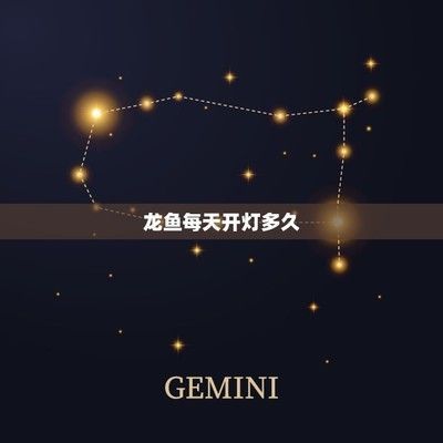 龍魚燈光照射最佳時間是幾點到幾點：龍魚光照周期與自然光對比