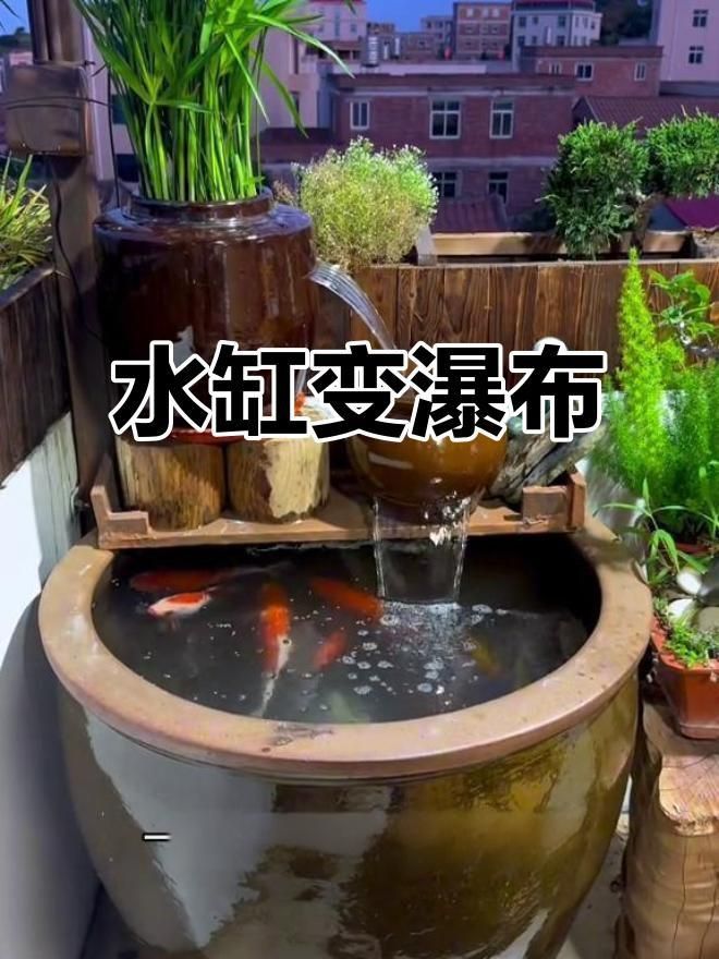 老式水缸怎么做過濾養(yǎng)魚