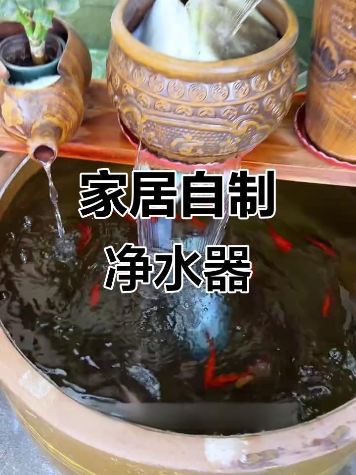 老式水缸怎么做過濾養(yǎng)魚