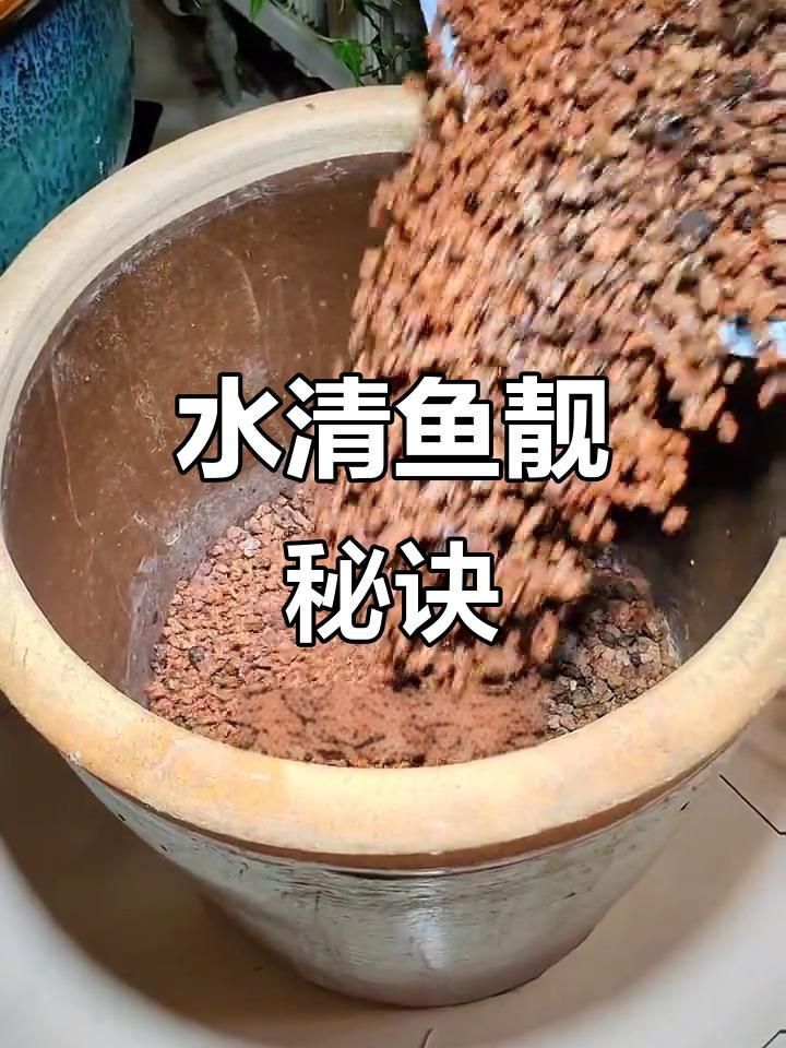 老式水缸怎么做過(guò)濾養(yǎng)魚(yú)