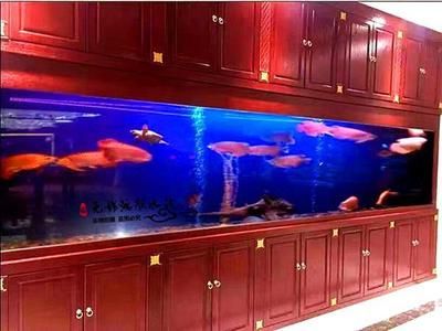 魚缸定制價格表