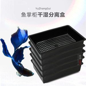 養龍魚用什么過濾器好用些：養龍魚用什么過濾器好用