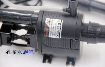 養龍魚用什么過濾器好用些：養龍魚用什么過濾器好用