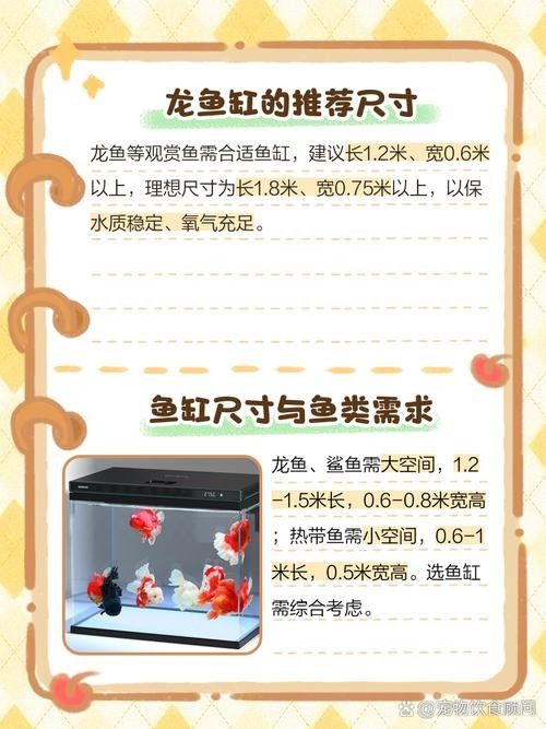 龍魚飼養(yǎng)技巧圖解 龍魚飼養(yǎng)技巧圖解 龍魚百科 第8張