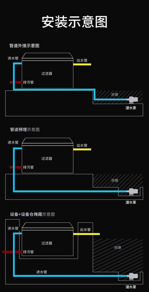 龍魚飼養(yǎng)技巧圖解 龍魚飼養(yǎng)技巧圖解 龍魚百科 第38張