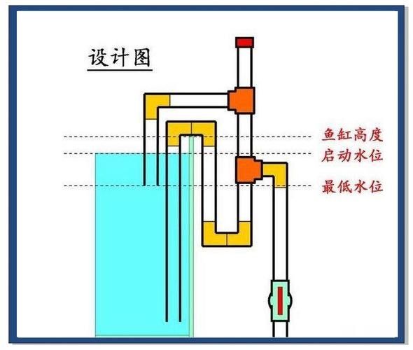 龍魚飼養(yǎng)技巧圖解 龍魚飼養(yǎng)技巧圖解 龍魚百科 第47張