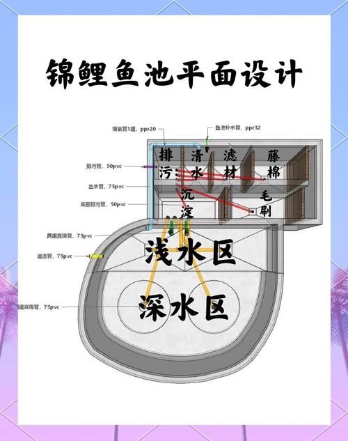 龍魚飼養(yǎng)技巧圖解 龍魚飼養(yǎng)技巧圖解 龍魚百科 第42張