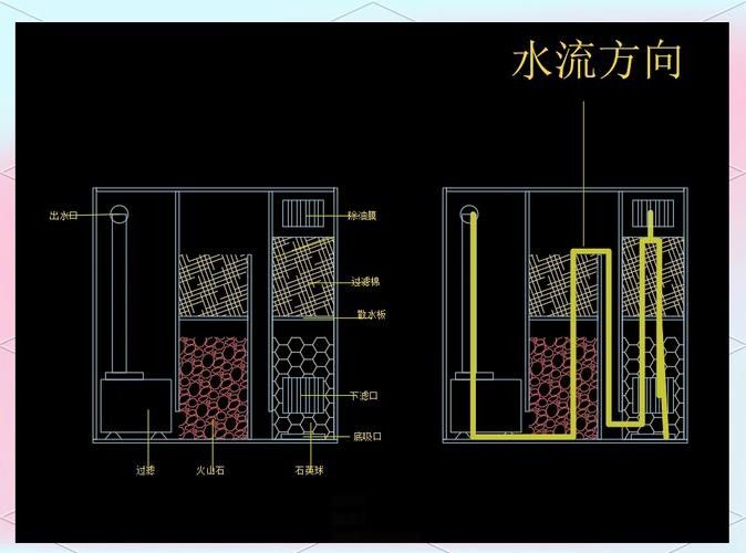 龍魚飼養(yǎng)技巧圖解 龍魚飼養(yǎng)技巧圖解 龍魚百科 第40張