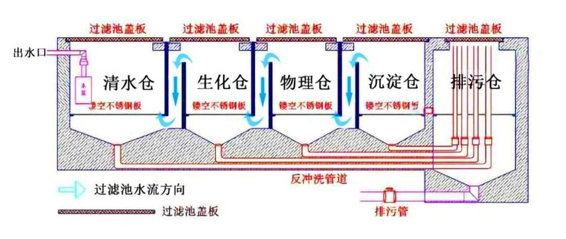 龍魚飼養(yǎng)技巧圖解 龍魚飼養(yǎng)技巧圖解 龍魚百科 第44張