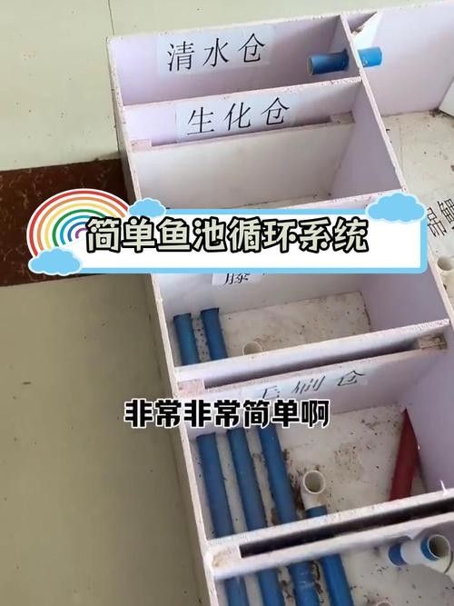龍魚飼養(yǎng)技巧圖解 龍魚飼養(yǎng)技巧圖解 龍魚百科 第46張