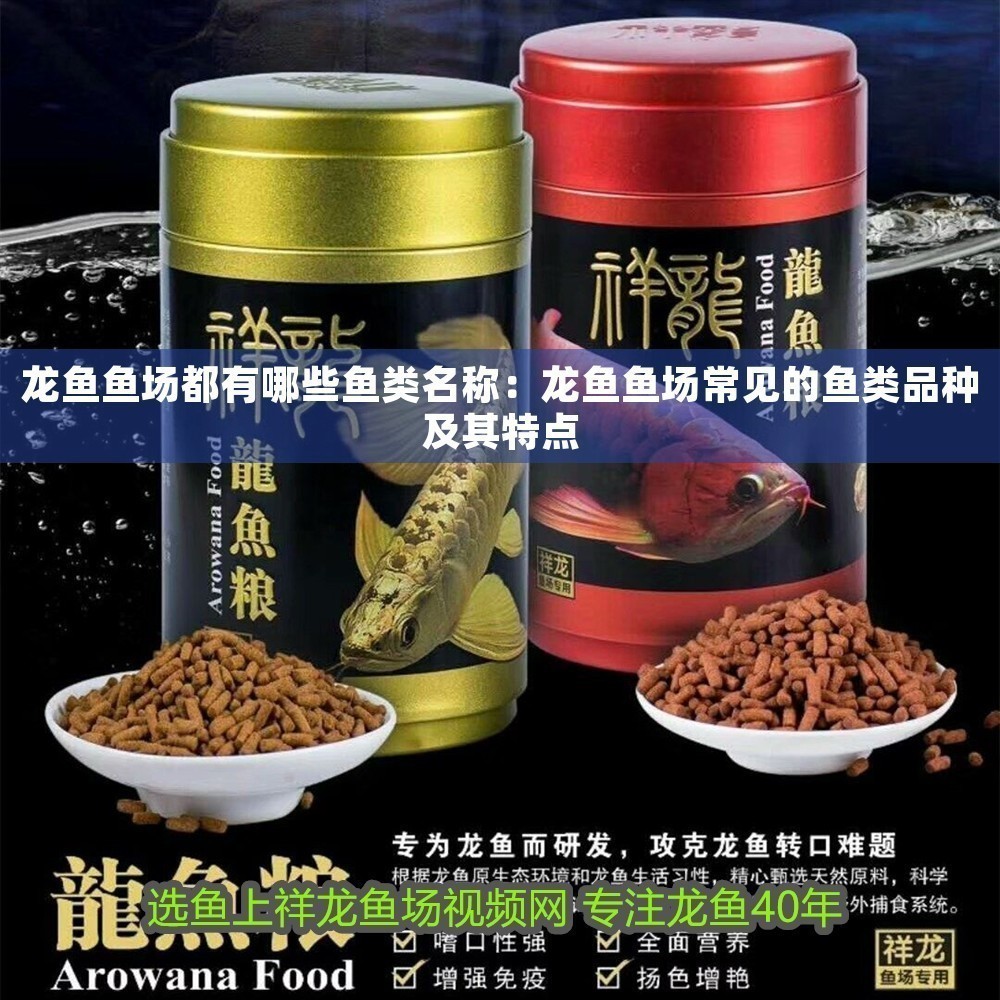 龍魚魚場(chǎng)都有哪些魚類名稱：龍魚魚場(chǎng)常見的魚類品種及其特點(diǎn)