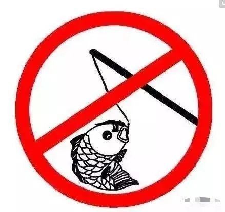 消費者如何應對龍頭魚禁售？ 消費者如何應對龍頭魚禁售？ 龍魚百科 第1張