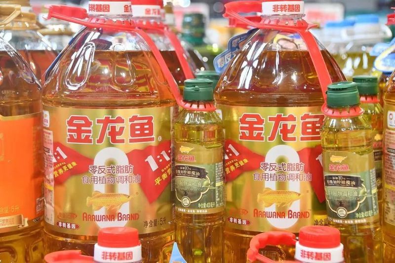 金龍魚(yú)控股公司簡(jiǎn)介