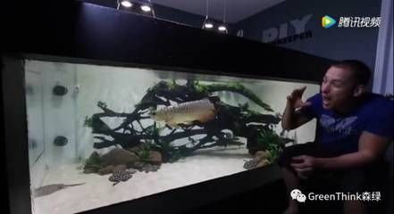 龍魚總是歪著游（龍魚總是歪著游可能由多種原因引起，可能是多種原因引起）