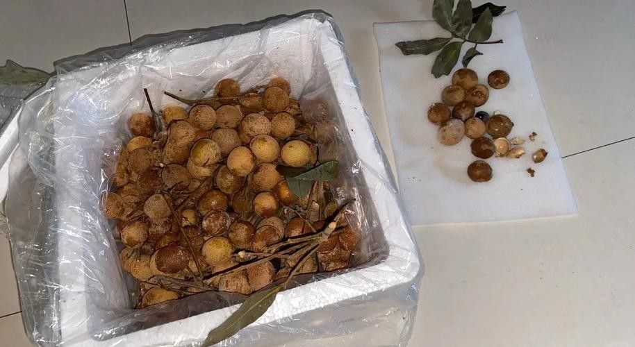 龍眼起白后還能吃嗎？