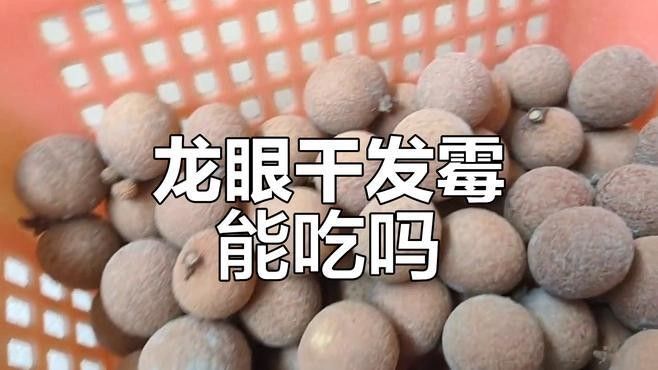 龍眼起白后還能吃嗎？