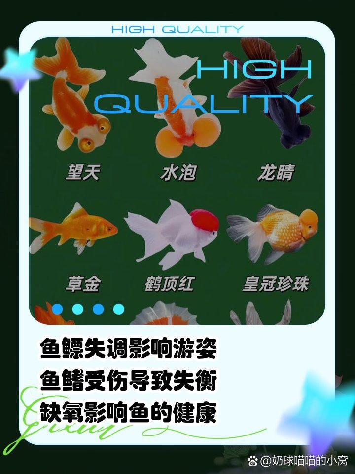 金龍魚浮頭游姿不穩 金龍魚浮頭游姿不穩 龍魚百科 第11張