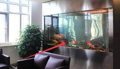 住樓魚缸的位置怎么擺放（如何選擇適合家居的魚缸魚缸日常維護的正確方法）