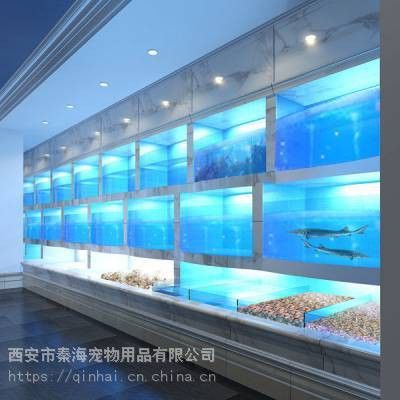 西安魚缸定做祥龍魚場地址在哪