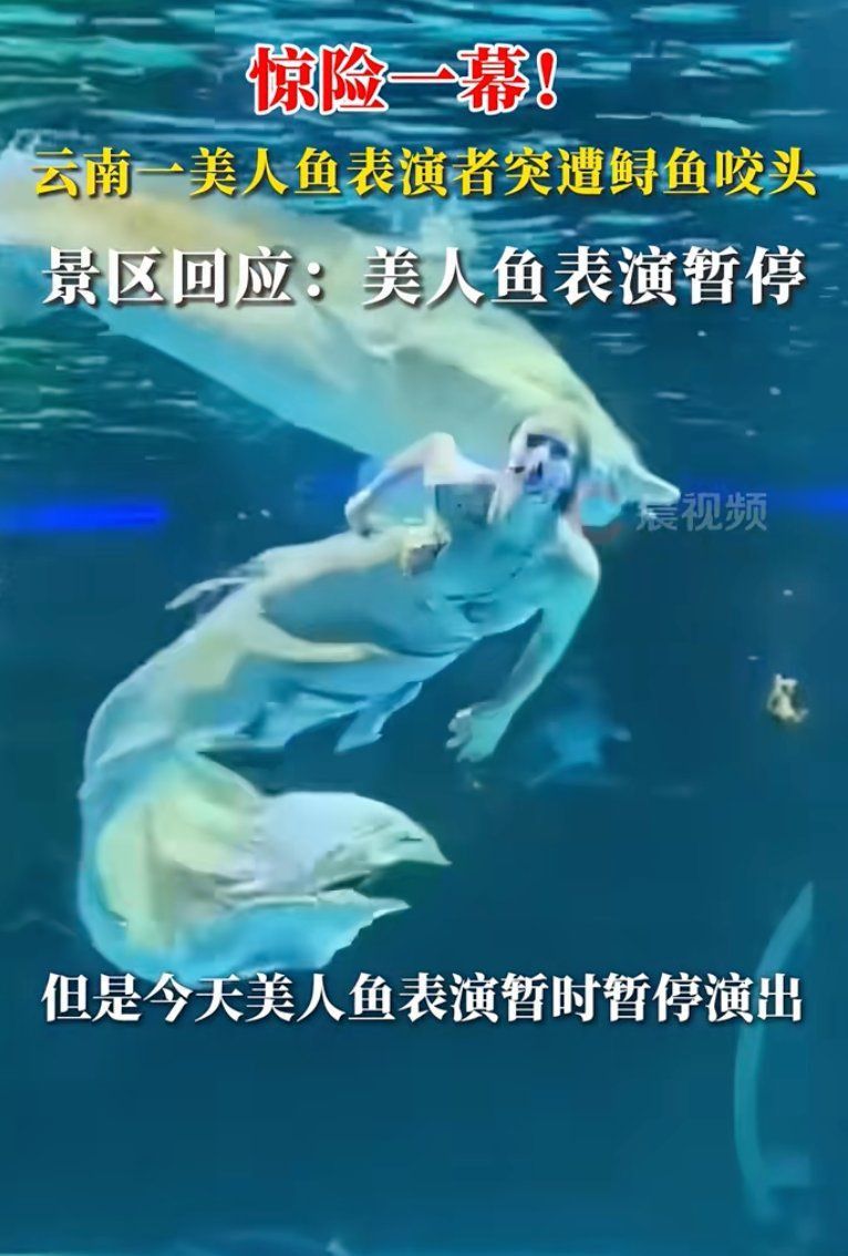 美人魚胸口被咬