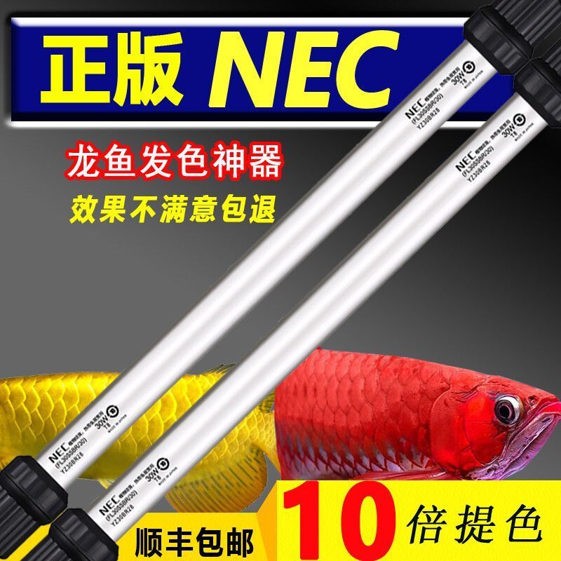 金龍魚用燈管和led哪個好