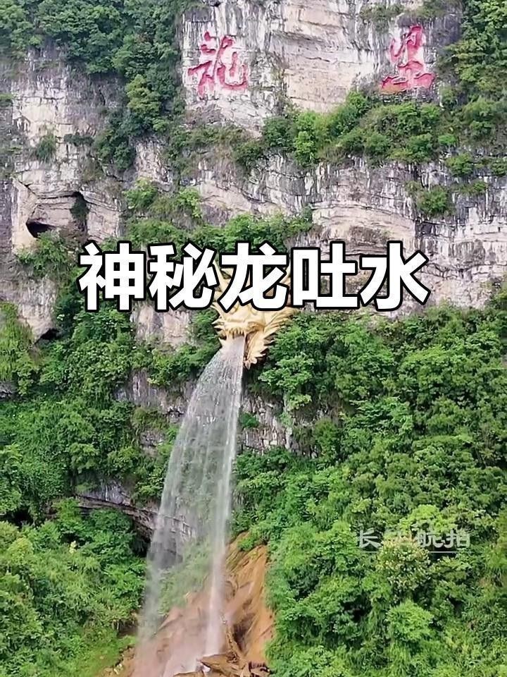 再給我?guī)讉€水龍雕塑的實例