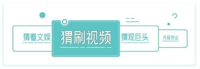 還有哪些網絡流行語與金龍魚相關？