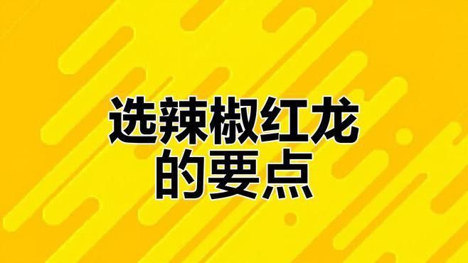 紅龍魚品牌等級劃分標準圖片 紅龍魚品牌等級劃分標準圖片 龍魚百科 第2張