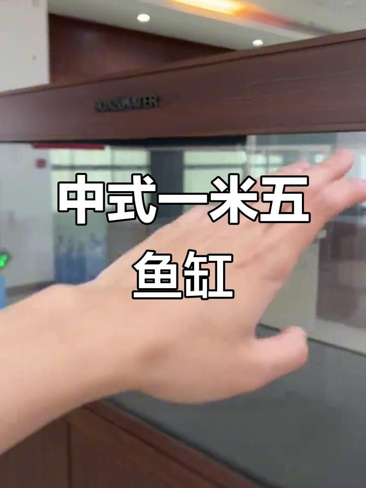 博特KS系列龍魚缸的價格是多少 博特KS系列龍魚缸的價格是多少 龍魚百科 第2張