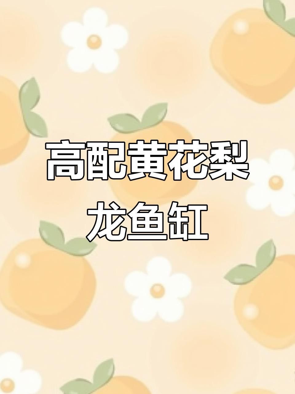 博特KS系列龍魚缸的價格是多少 博特KS系列龍魚缸的價格是多少 龍魚百科 第3張