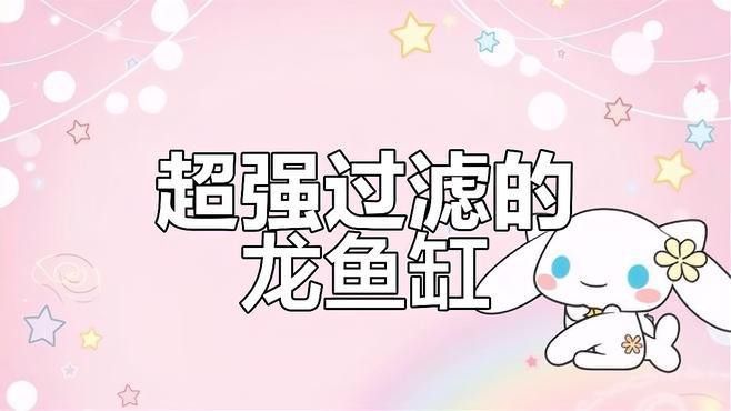 博特KS系列龍魚缸的價格是多少 博特KS系列龍魚缸的價格是多少 龍魚百科 第5張