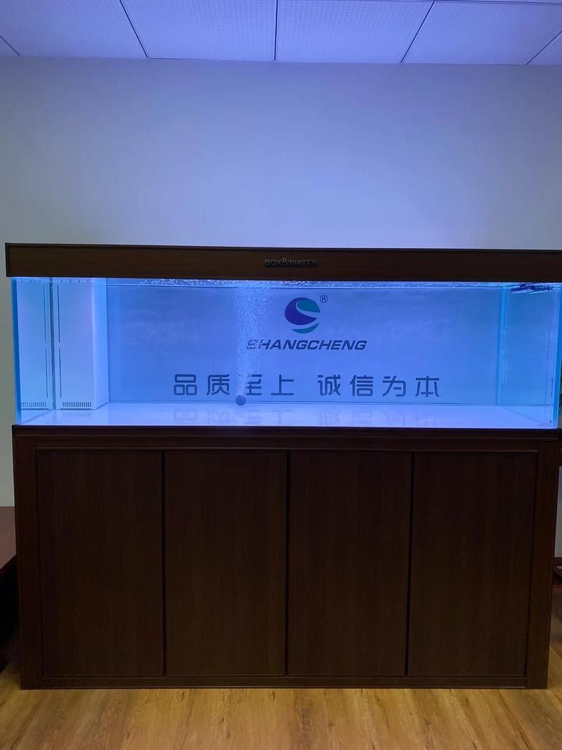 博特KS系列龍魚缸的價格是多少 博特KS系列龍魚缸的價格是多少 龍魚百科 第8張