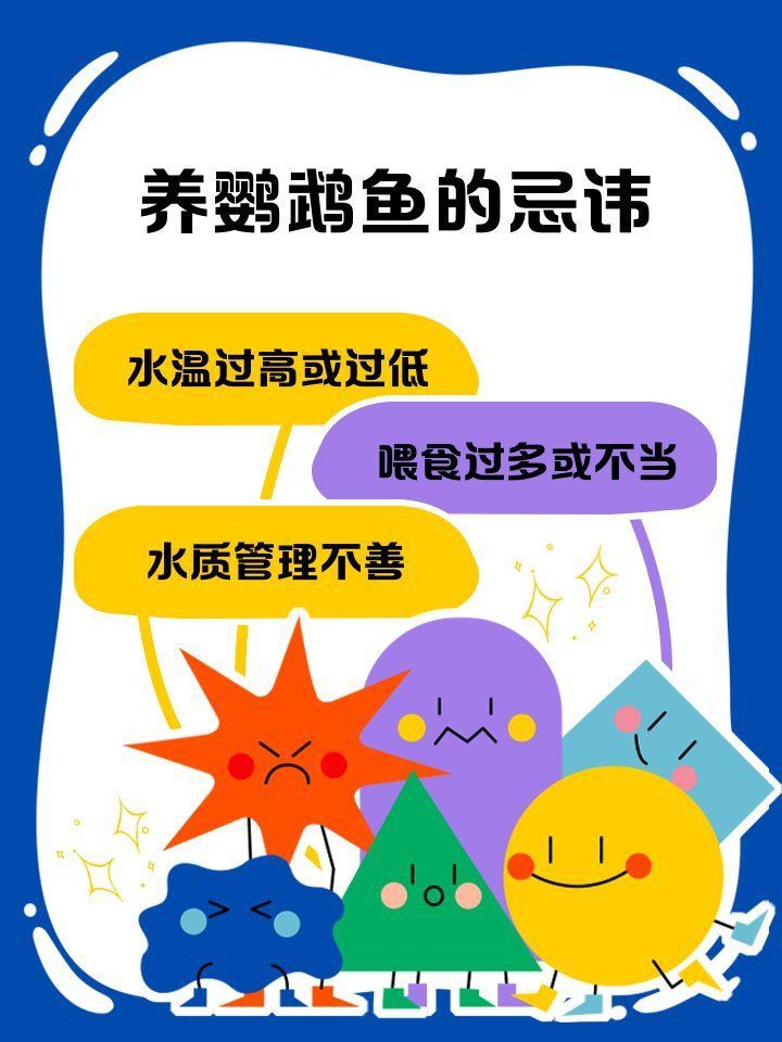 金剛鸚鵡魚最忌諱三個東西