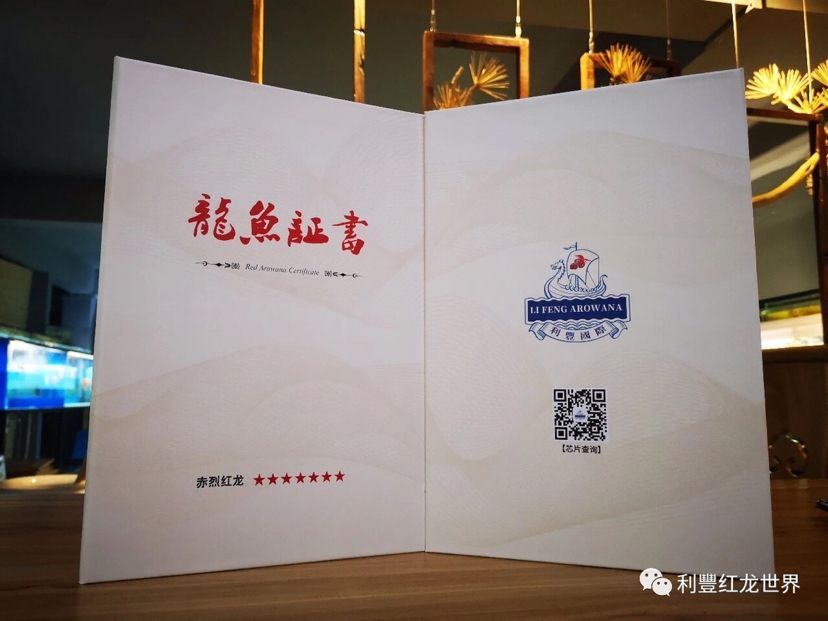 龍魚證書號碼查詢官網（如何查詢龍魚證書號碼）
