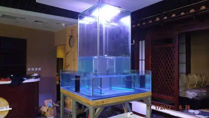 森森系列魚缸（森森魚缸與其他品牌的比較如何打造美觀的水族箱景觀？）
