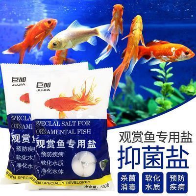 魚缸多久放一次鹽合適（淡水魚缸加鹽的最佳時機海水魚缸鹽度控制技巧）