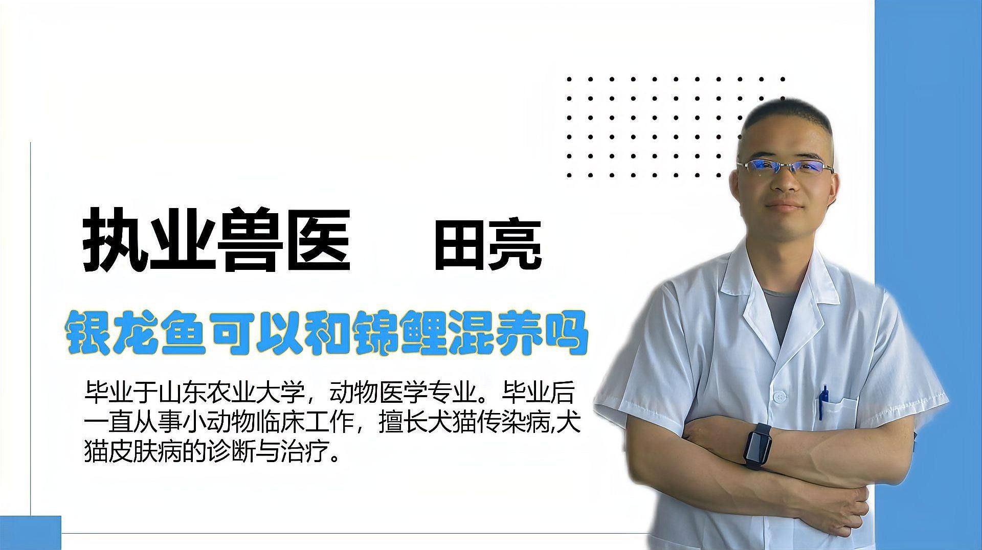 銀龍魚混養最佳搭配圖片大全圖解視頻