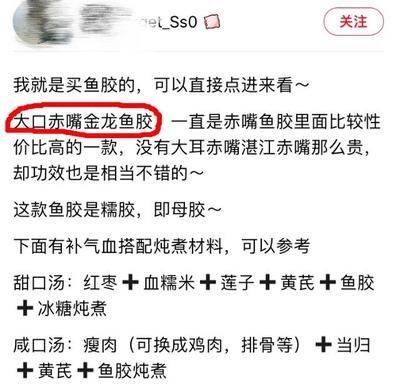 大口赤嘴和金龍魚膠的區別（大口赤嘴與金龍魚膠的區別）