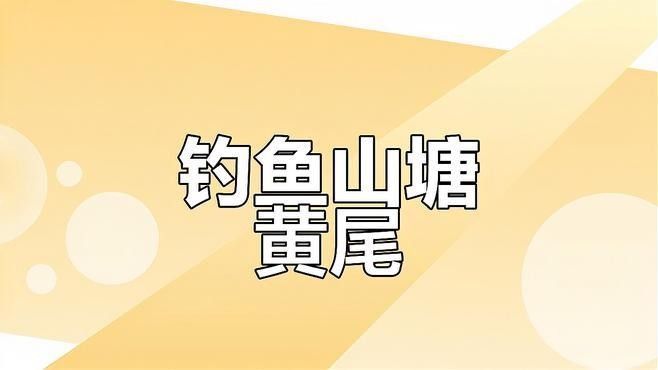 黃尾龍魚價格行情