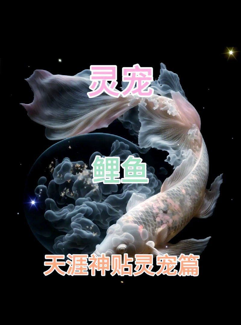 鯉魚(yú)在玄學(xué)中的寓意