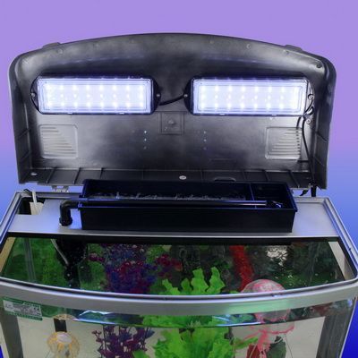 龍魚缸側燈：龍魚缸側燈品牌推薦龍魚缸側燈安裝教程龍魚缸側燈安裝教程