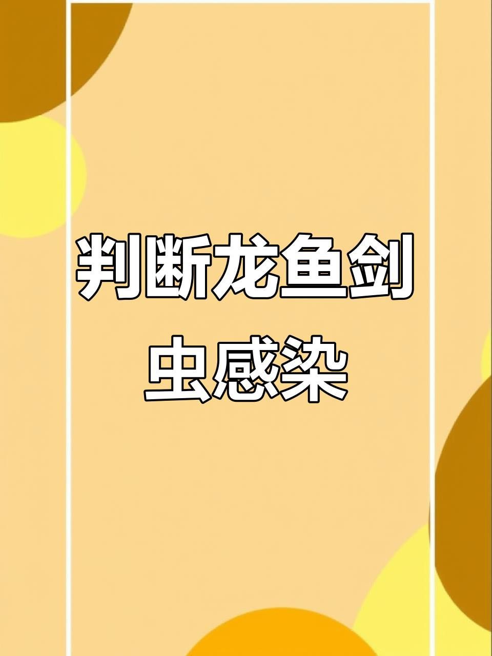 治療龍魚內外寄需要多長時間？