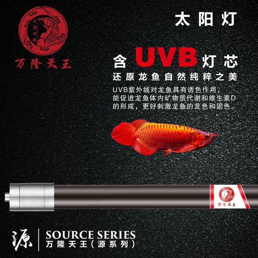 太陽燈 太陽燈 龍魚百科 第1張