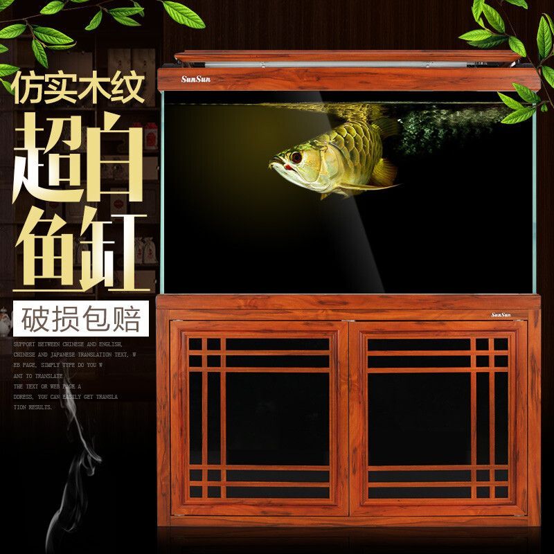 賣龍魚取一個店名好嗎怎么取（為賣龍魚的店鋪取名） 賣龍魚取一個店名好嗎怎么取（為賣龍魚的店鋪取名） 龍魚百科 第4張