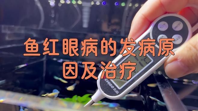 龍魚眼充血怎么治好