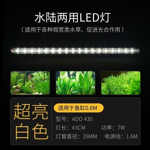 龍魚燈什么牌子最好