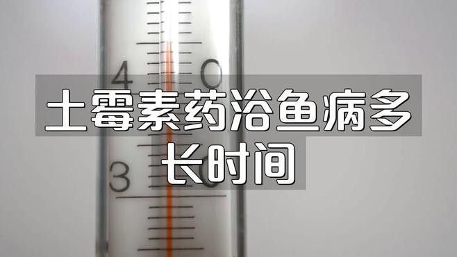 龍魚藥浴后多久恢復(fù)正常？ 龍魚藥浴后多久恢復(fù)正常？ 龍魚百科 第2張