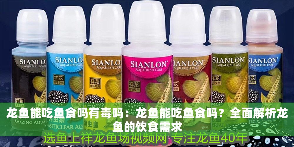 龍魚能吃魚食嗎有毒嗎：龍魚能吃魚食嗎？全面解析龍魚的飲食需求