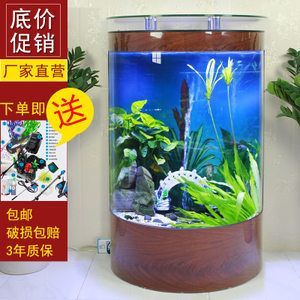 金龍魚缸水變綠怎么辦啊：金龍魚缸水變綠了怎么辦 金龍魚缸水變綠怎么辦啊：金龍魚缸水變綠了怎么辦 龍魚百科 第2張