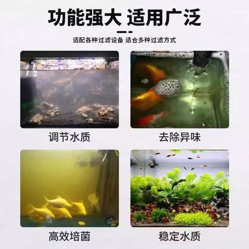 龍魚濾材哪個牌子好用安全健康